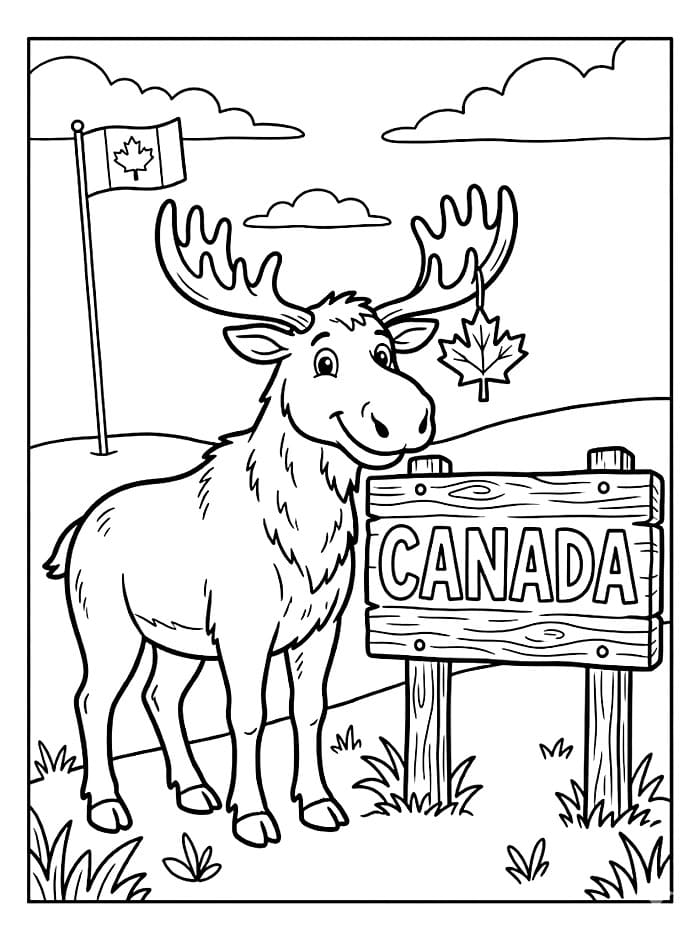 Canada Elg fargelegging