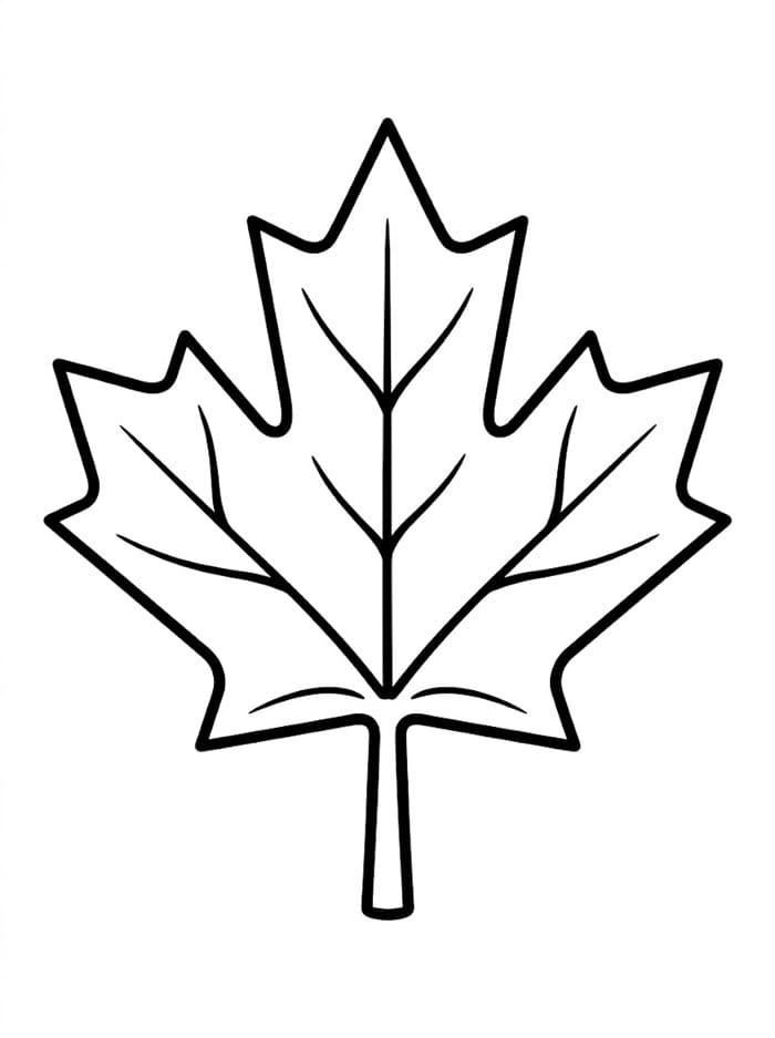Canada Lønneblad fargelegging