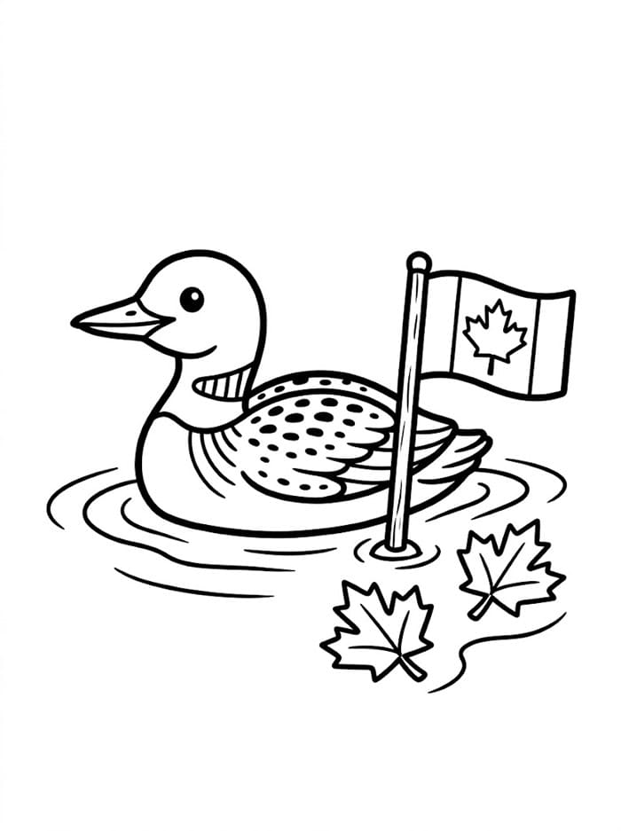 Canada Loom fargelegging