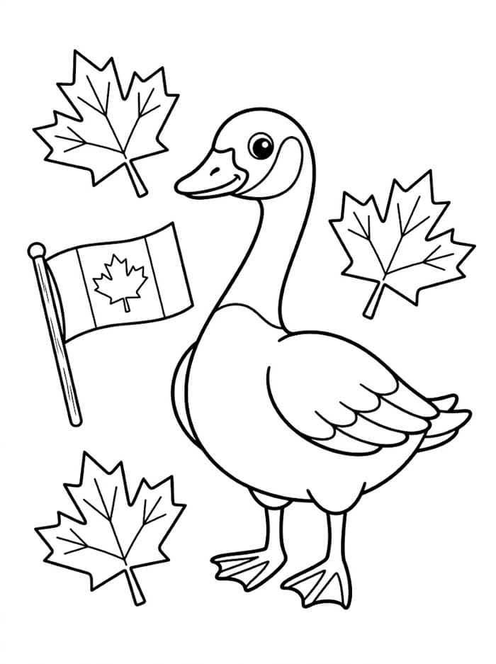 Canadagås fargelegging
