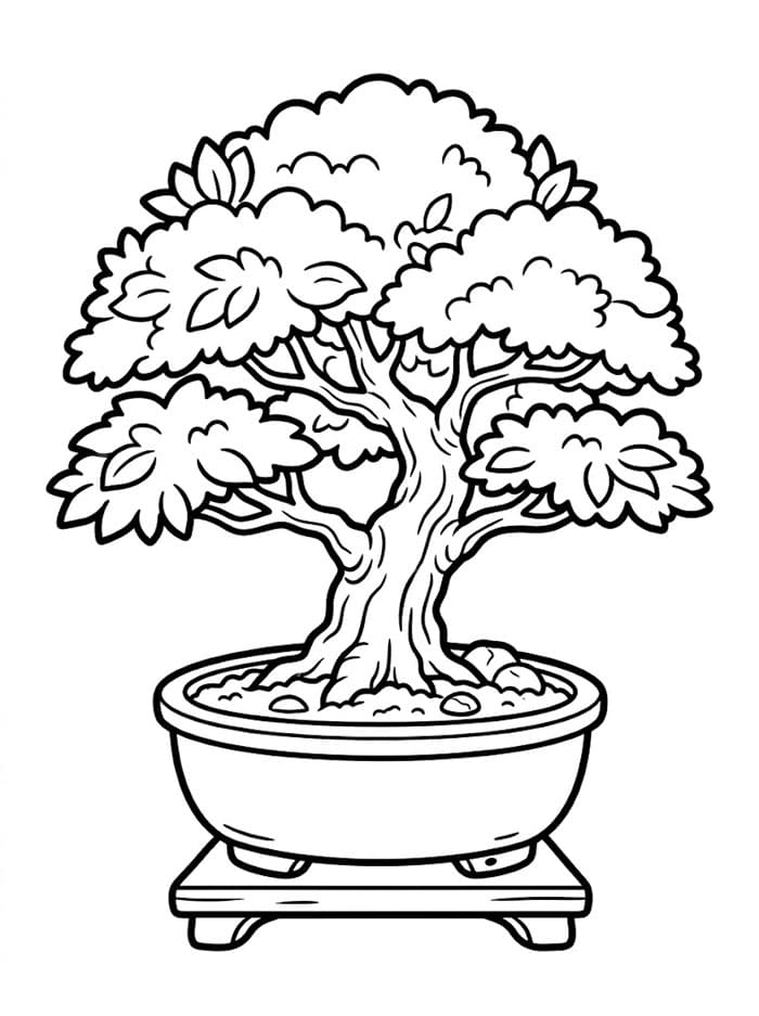 Japan Bonsai fargelegging