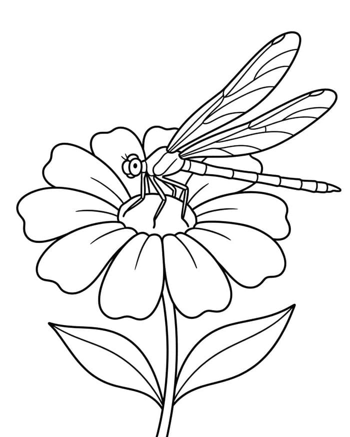 Øyenstikker på en blomst fargelegging