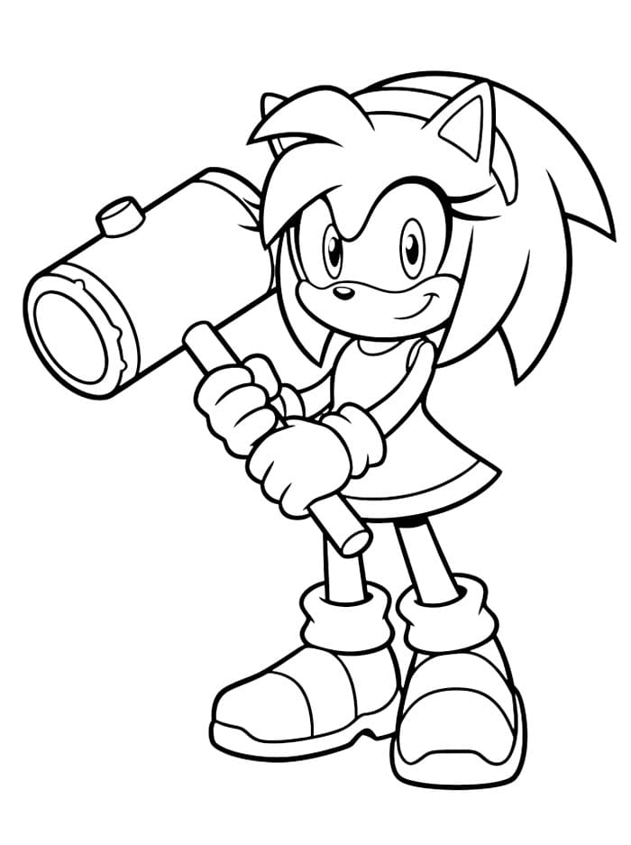 Amy Rose Fargelegging