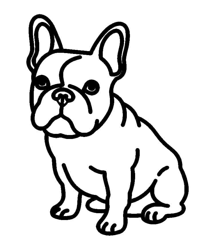Bilde fransk bulldog fargelegging
