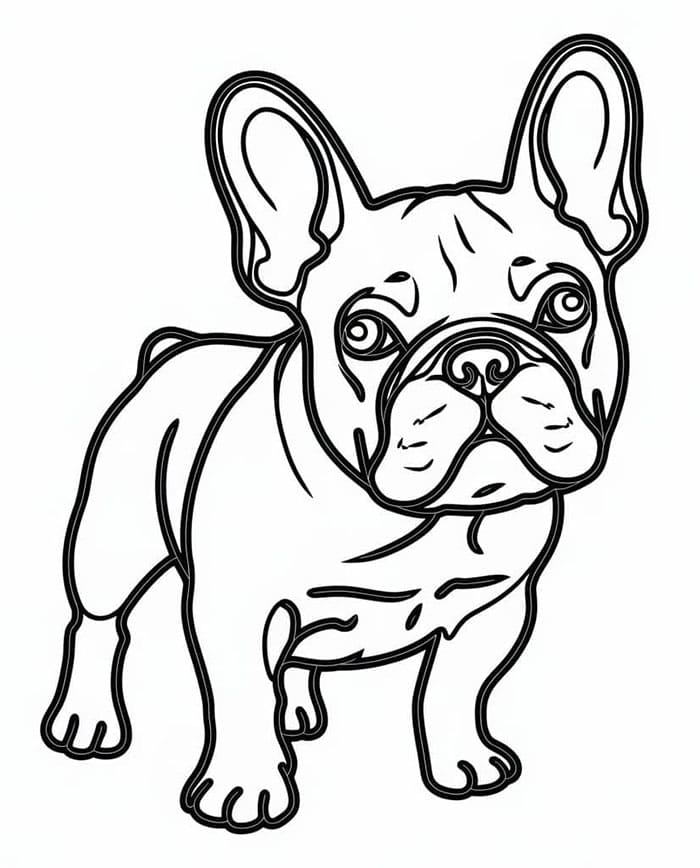 Enkel fransk bulldog fargelegging