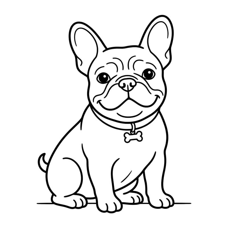 Forfra sett av en fransk bulldog fargelegging