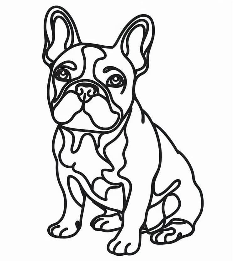 Fransk bulldog Enkel fargelegging