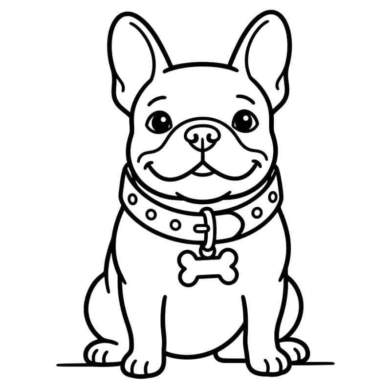 Fransk bulldog med halsbånd fargelegging
