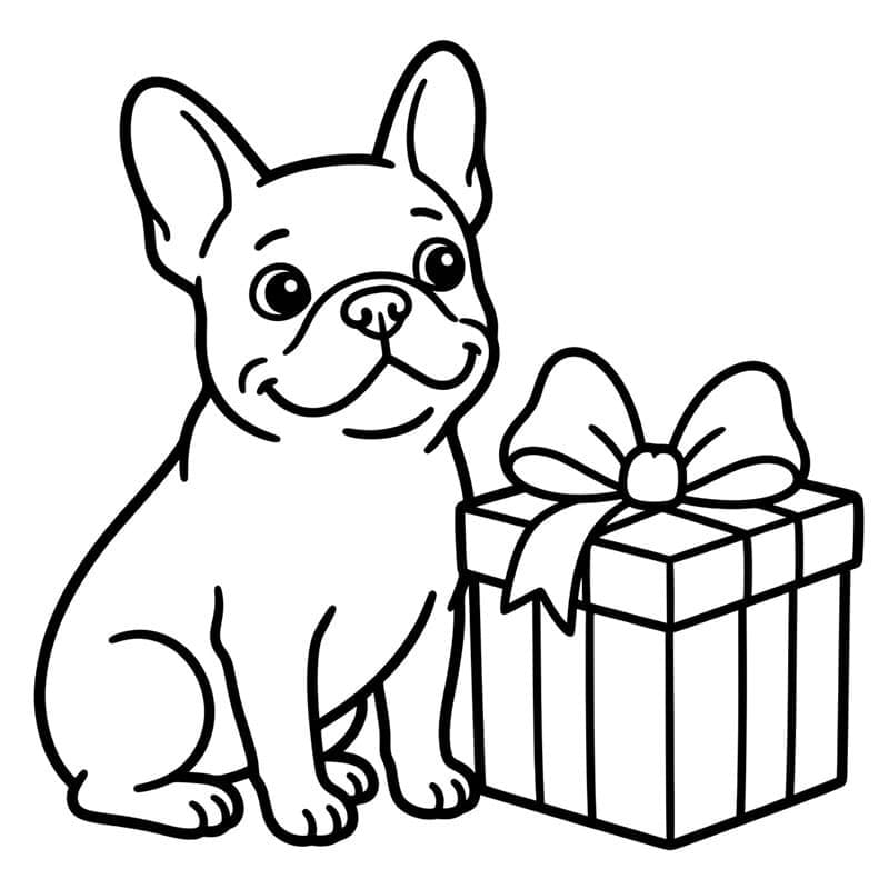 Fransk bulldog og gave fargelegging