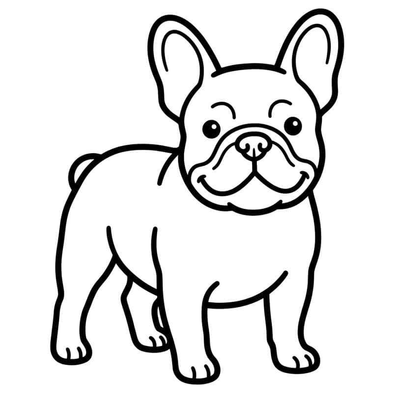 Fransk bulldogstativ fargelegging