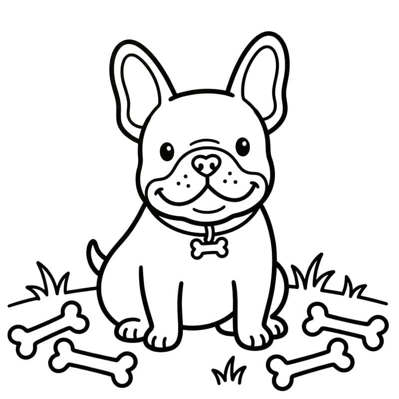 Gratis fransk bulldog og bein fargelegging