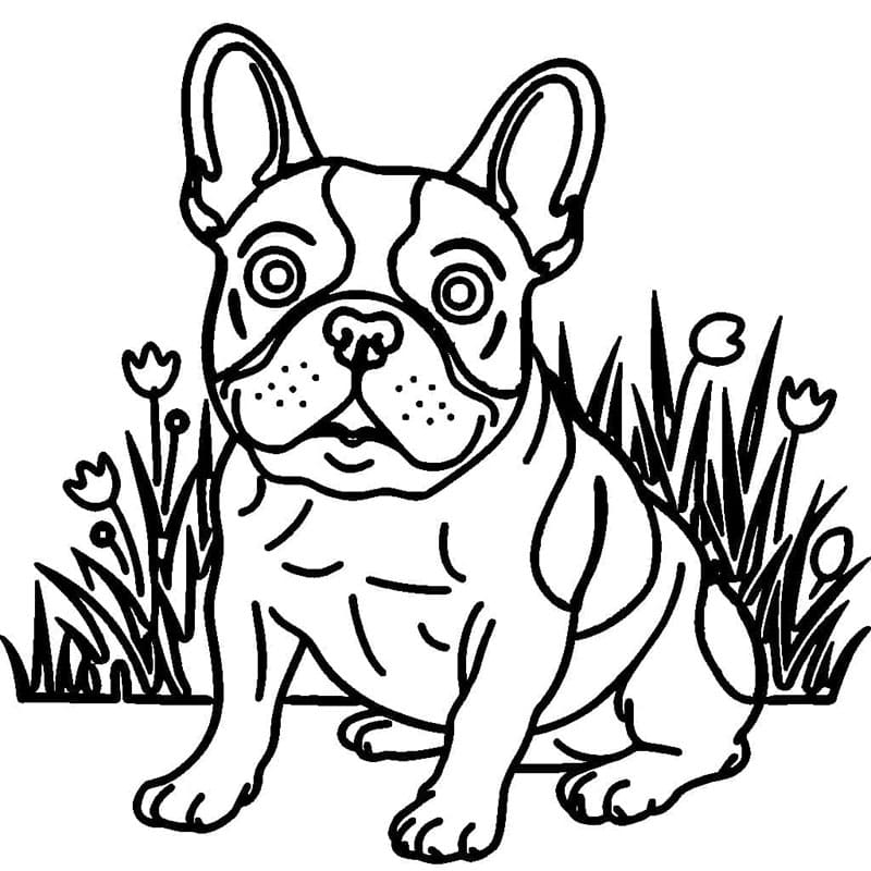Gratis utskrivbar fransk bulldog fargelegging