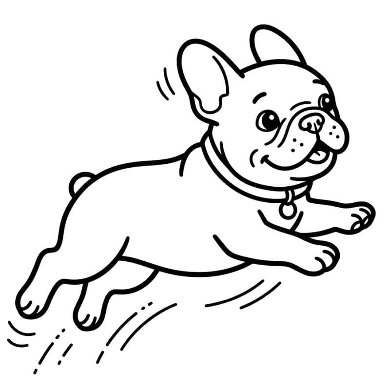 Hoppende fransk bulldog fargelegging