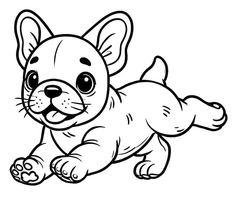Leken fransk bulldog fargelegging