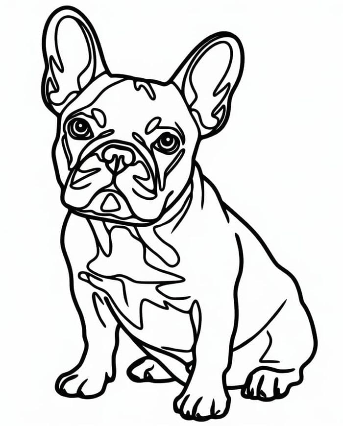 Normal fransk bulldog fargelegging