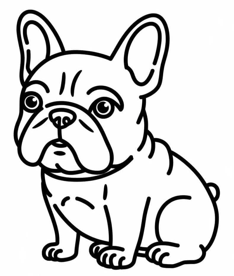 Nysgjerrig fransk bulldog fargelegging