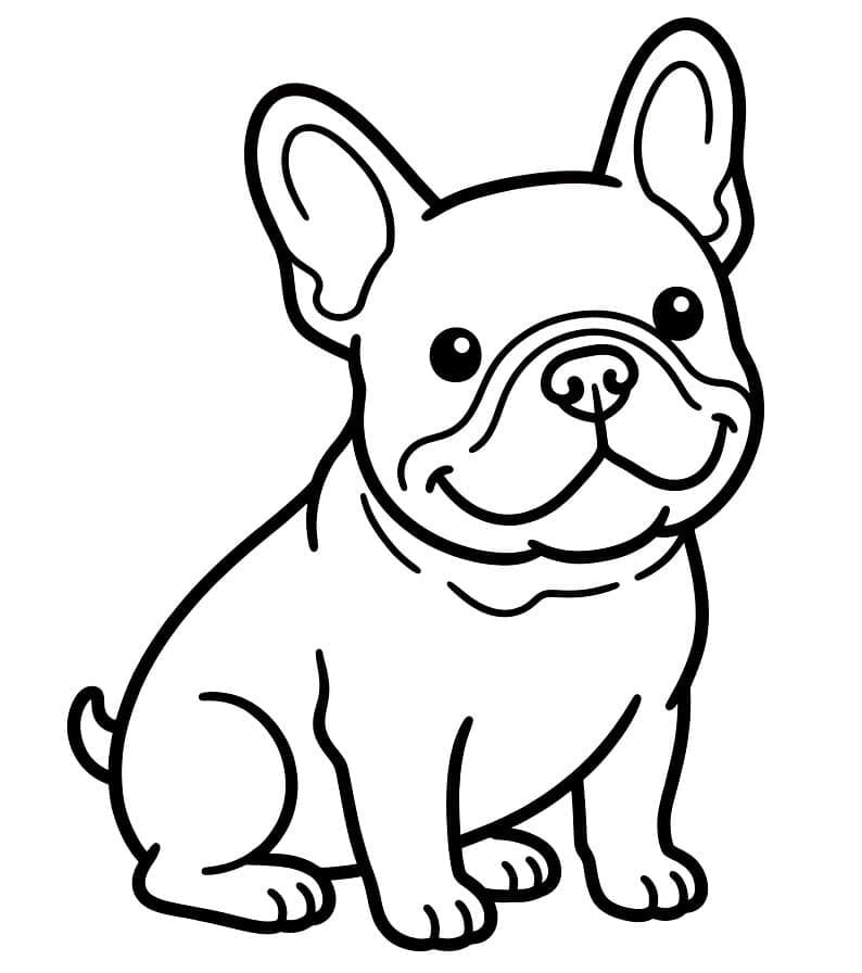 Fransk Bulldog Fargelegging