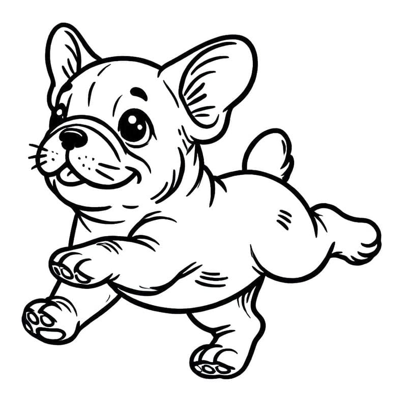 Slem fransk bulldog fargelegging