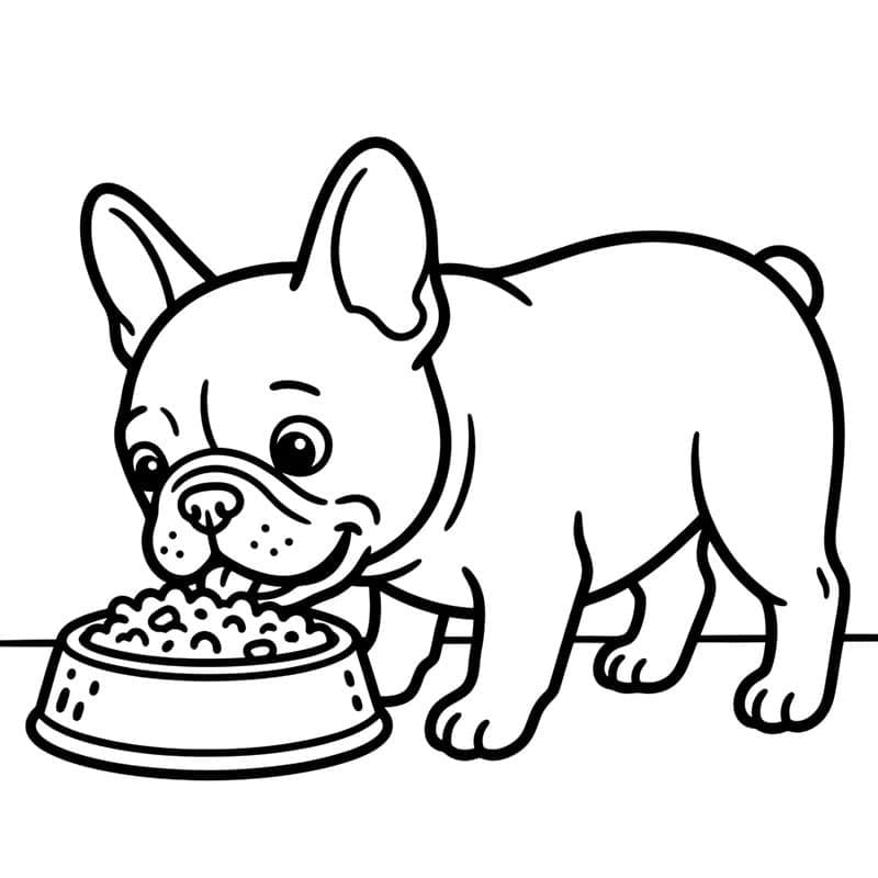 Spisende fransk bulldog fargelegging