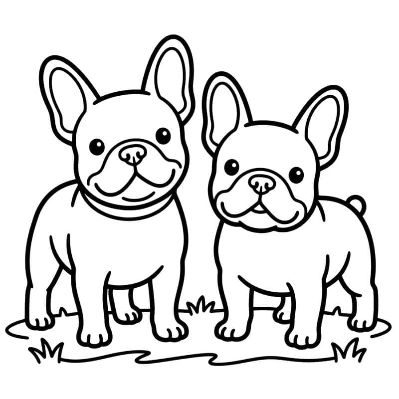 To franske bulldogger fargelegging