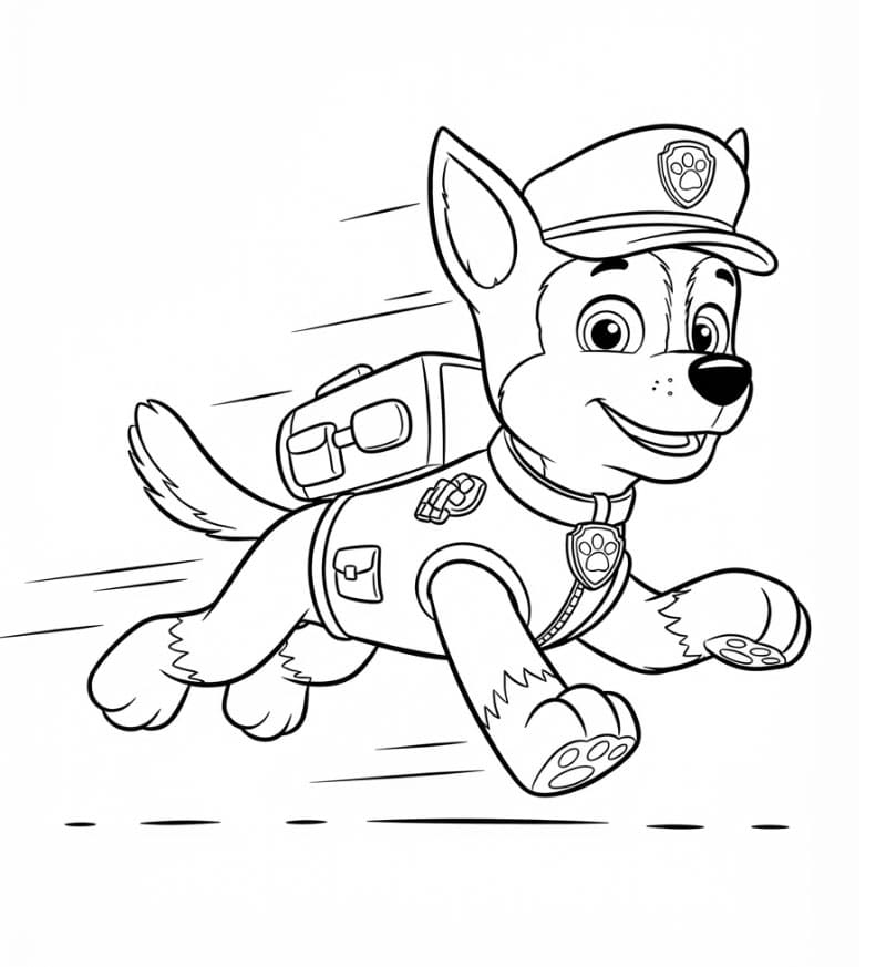 Chase Paw Patrol Fargelegging