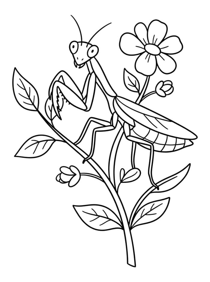 Kneler med blader og blomst fargelegging