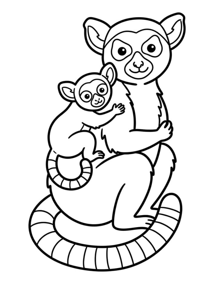 Lemur med forelder fargelegging