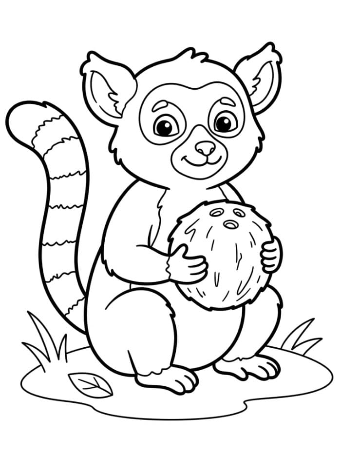 Lemur med kokosnøtt fargelegging