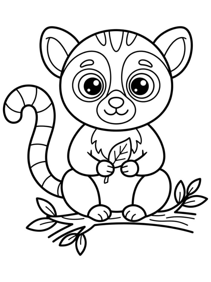 Lemur med store øyne fargelegging