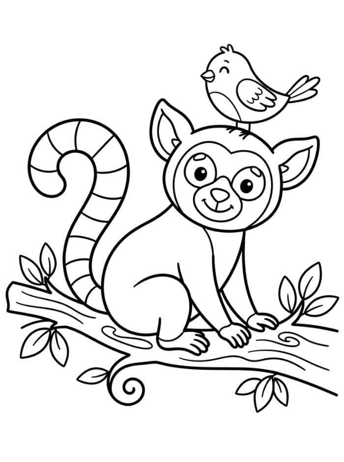 Lemur og liten fugl fargelegging