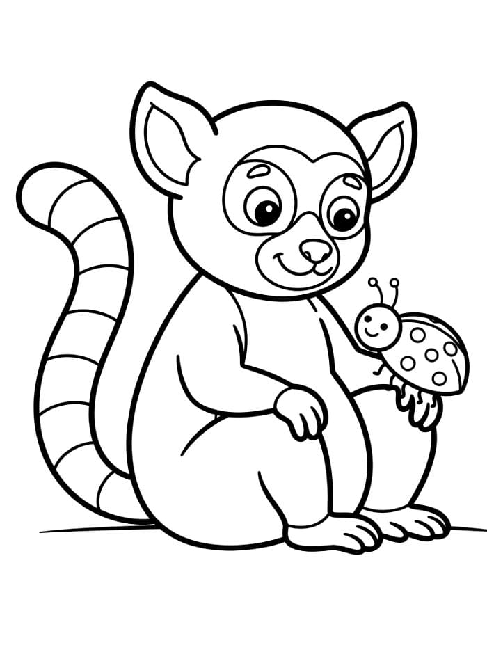 Lemur og marihøne fargelegging