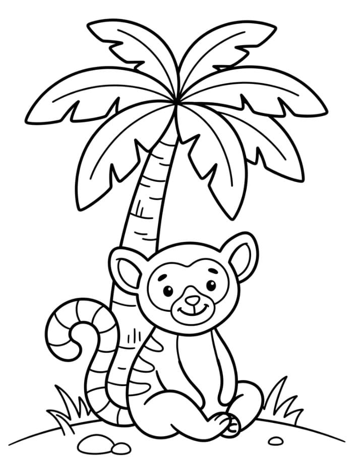 Lemur og palmetre fargelegging