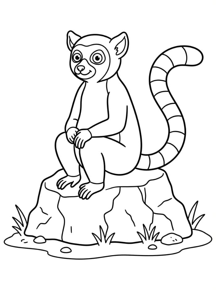 Lemur på stein fargelegging