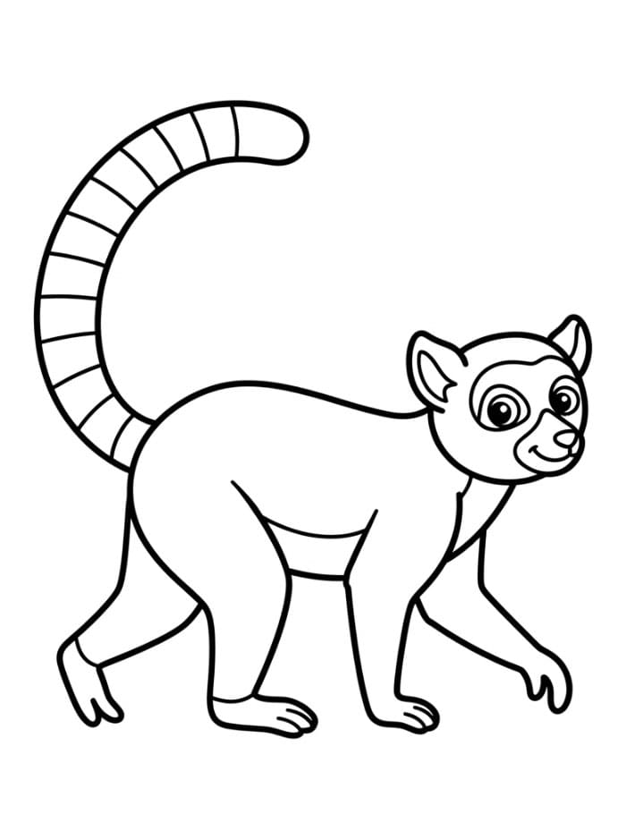 Lemur som går fritt fargelegging