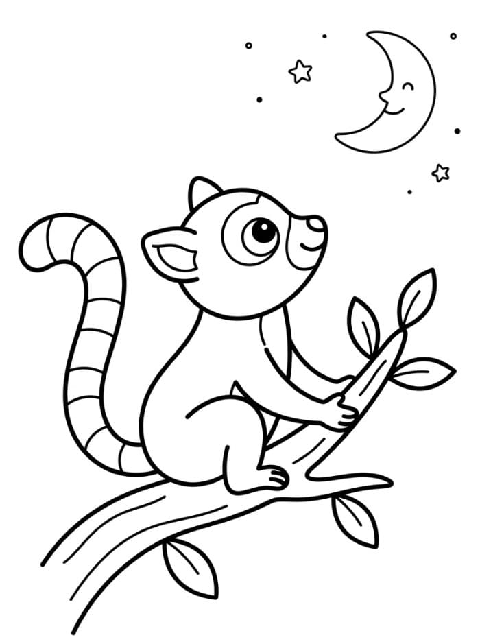 Lemur som ser på månen fargelegging