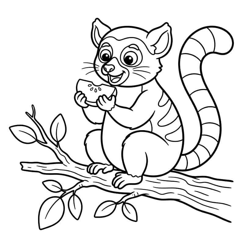 Lemur som spiser frukt fargelegging