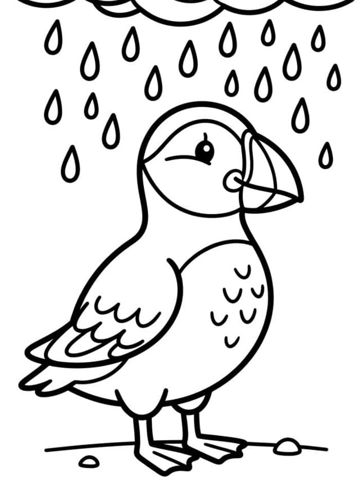 Lunder I Regn fargelegging