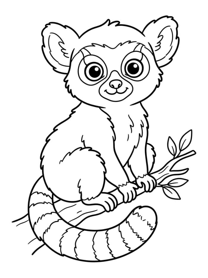 Søt babylemur fargelegging