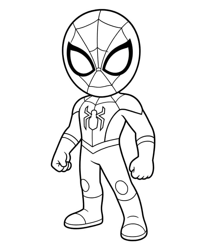 Spider kult fargelegging