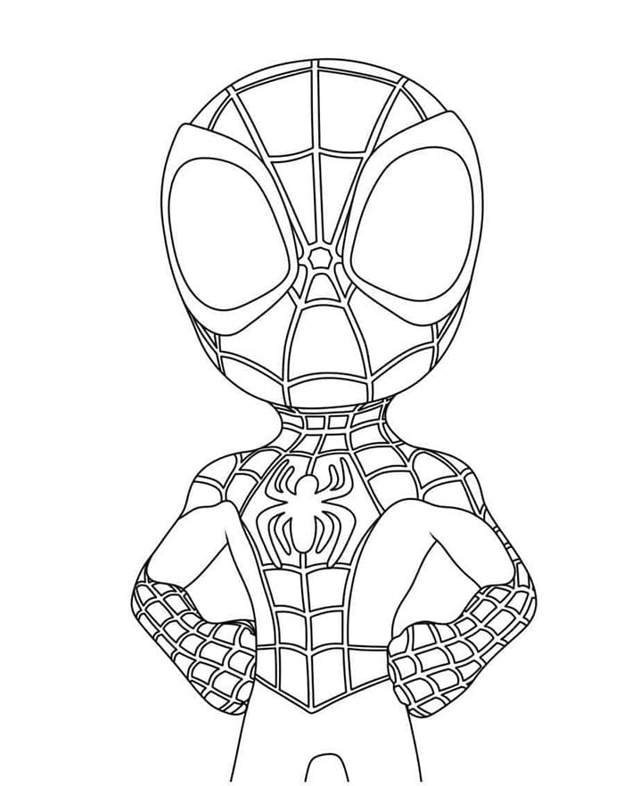 Spidey og venner fargelegging