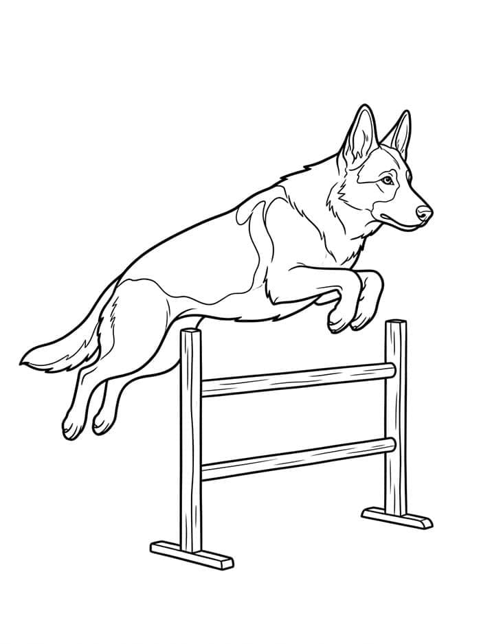Bilder av schäferhund fargelegging