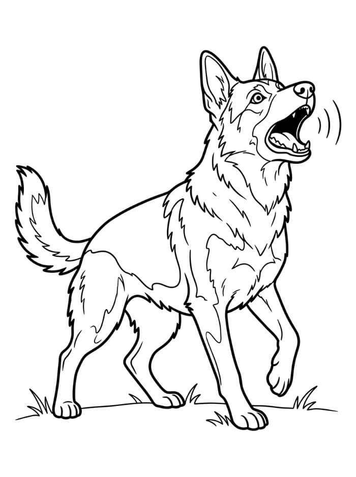 Bjeffende schäferhund fargelegging