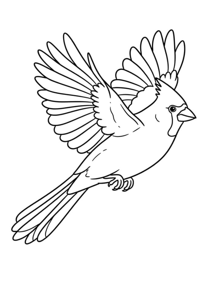 Flyvende kardinal fargelegging
