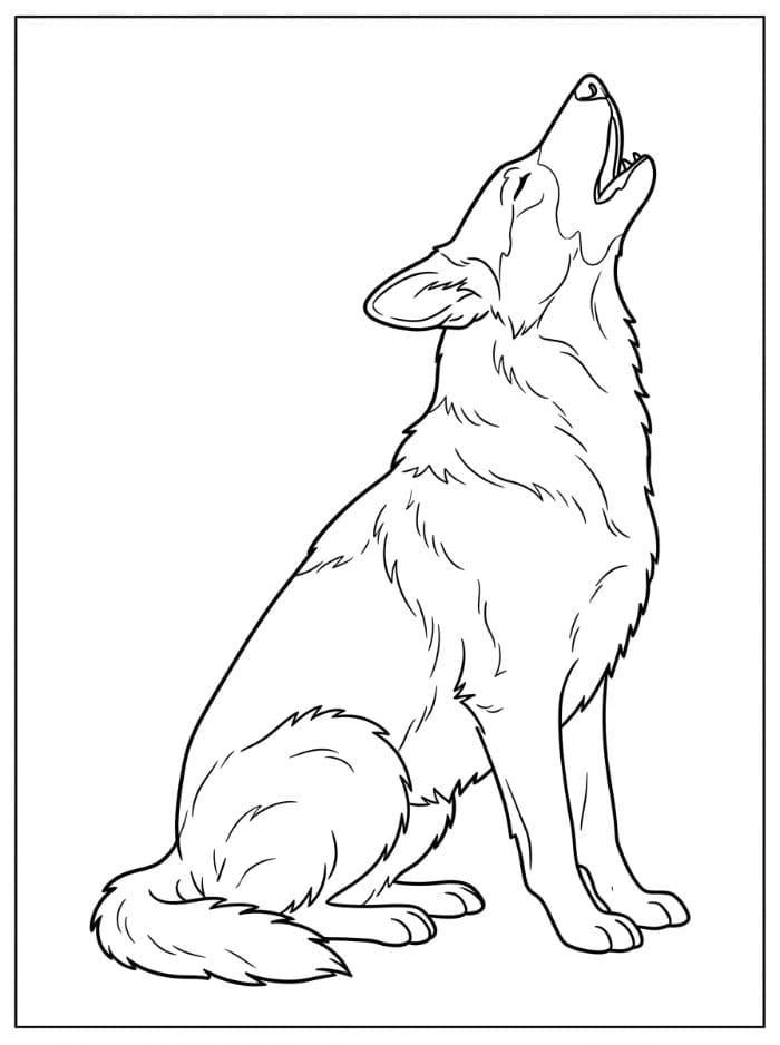 Hylende schäferhund fargelegging