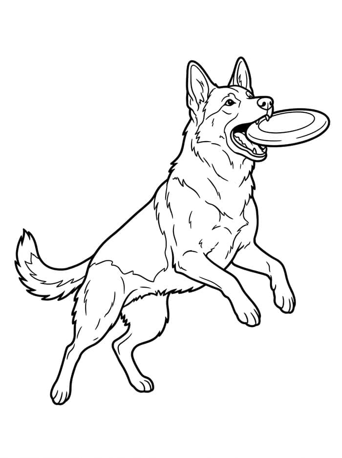 Leken schäferhund fargelegging