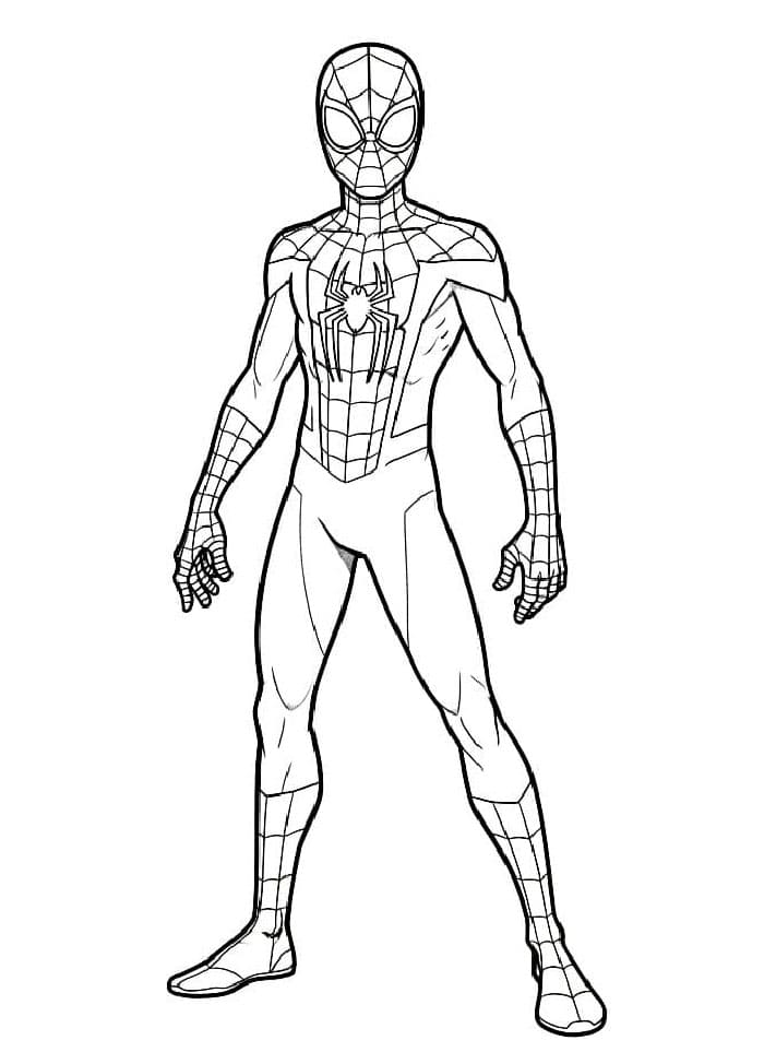 Miles Morales sett forfra fargelegging
