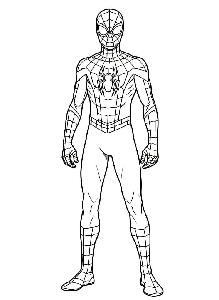 Miles Morales står stille fargelegging