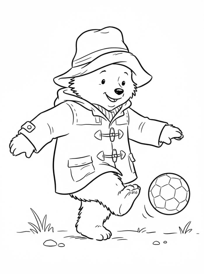 Paddington Fargelegging
