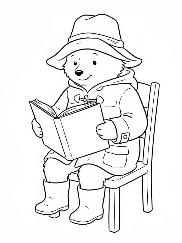 Paddington leser fargelegging