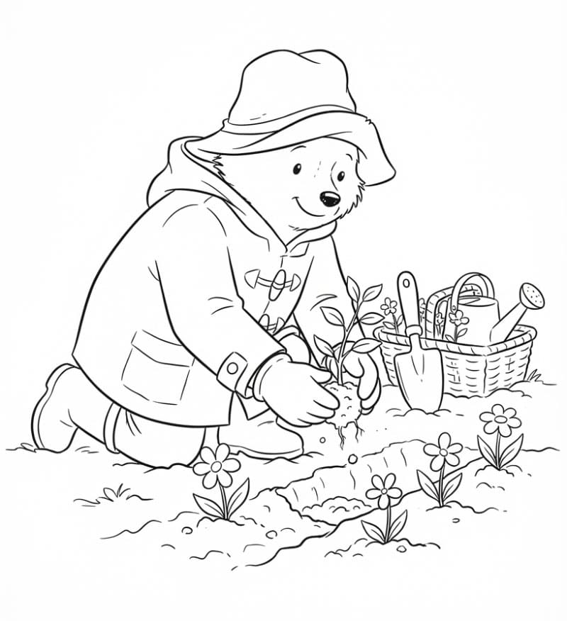 Paddington planter blomster fargelegging